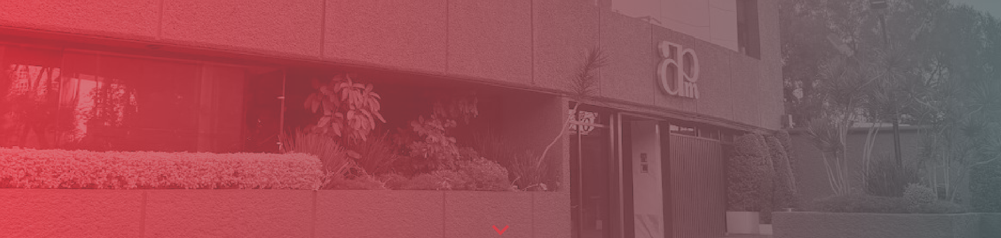 Fondo Cursos